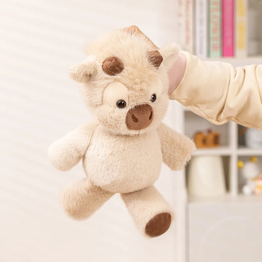 Peluche K-line