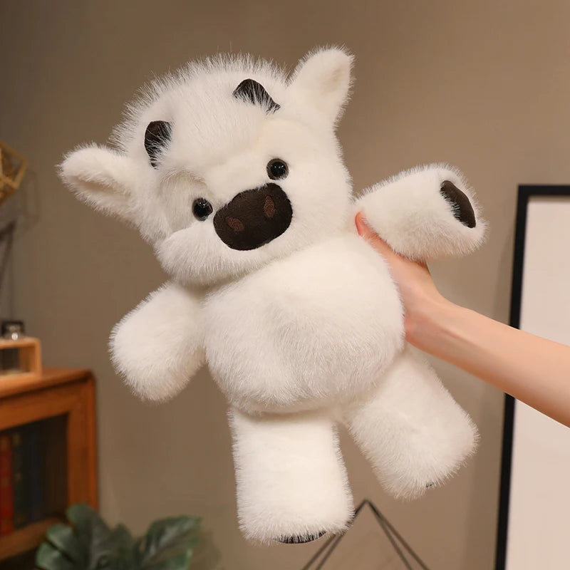 Peluche K-line