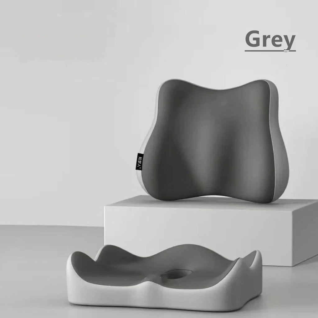 Coussin lombaire + assise ergonomique
