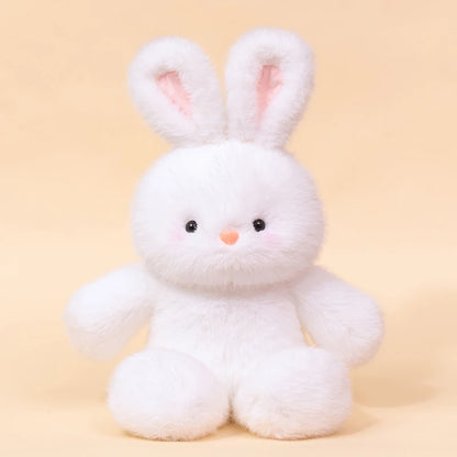 Peluche K-line
