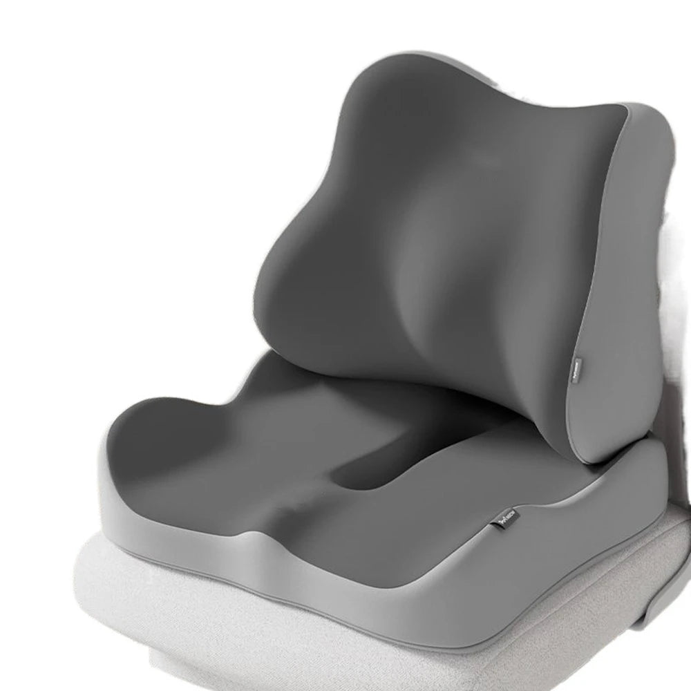 Coussin lombaire + assise ergonomique